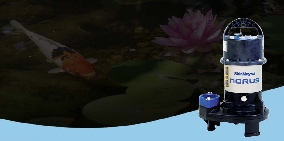 Image showcasing Ensure the Health of Your Fish With Pond Pumps for Koi Ponds – ePumps.com