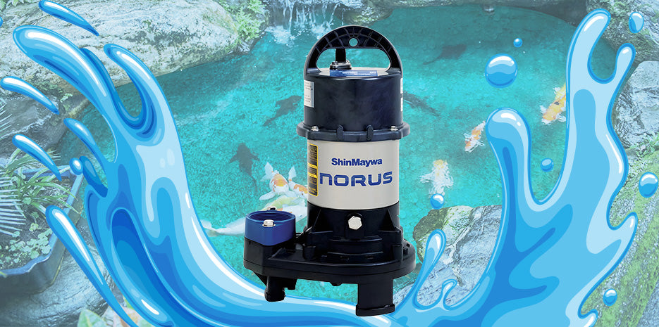 The Importance of Pond Filtration and How Your Pump Plays a Key Role
