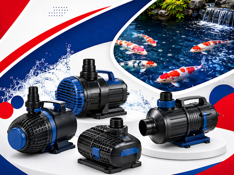 Best Pond Pumps for Koi Ponds (2026 Guide)