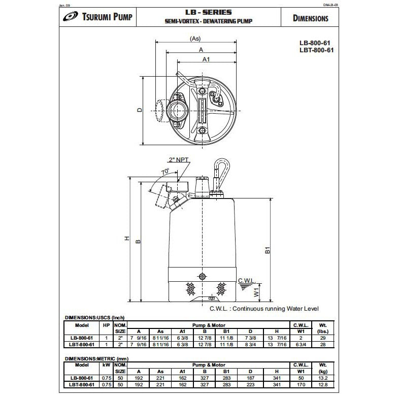 LB-800 1/115V & 1/110V Tsurumi Sump Pump – ePumps.com