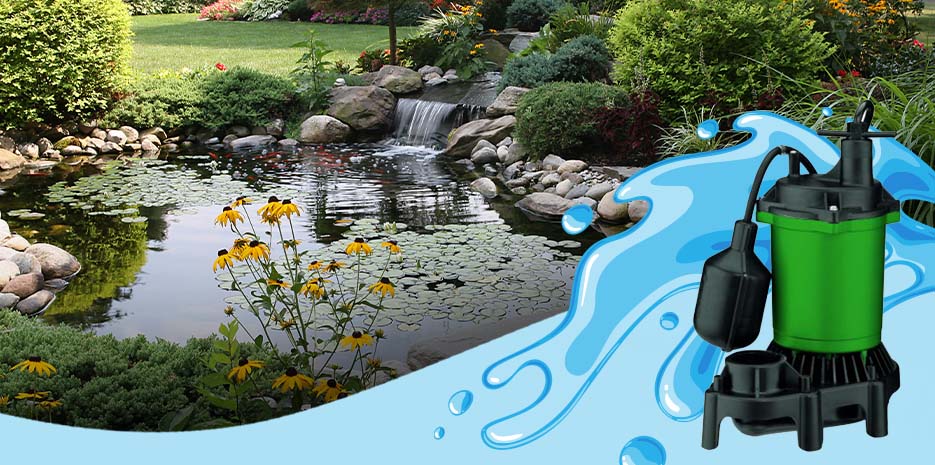 Complete Pond Pump Buying Guide