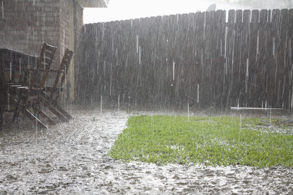 Flooded backyard during heavy rain