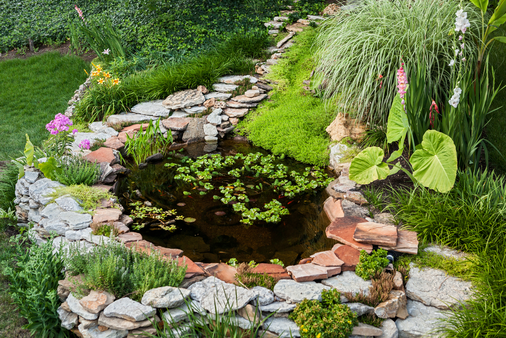 Backyard zen garden with a decorative pond